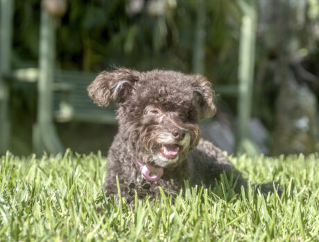 Happy-go-lucky Madge lives life to the fullest