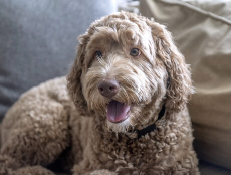 Bonz marvels at Murphy’s adventure-filled life