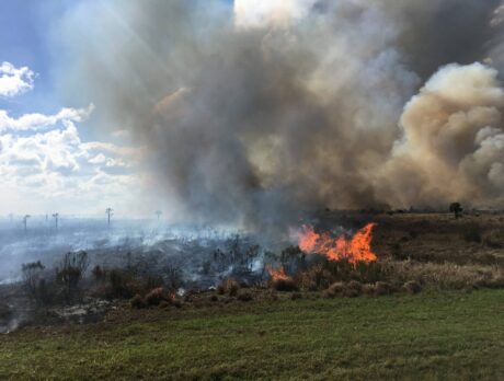 St. Johns District conducts more than 5,000-acre prescribed burn in Fellsmere