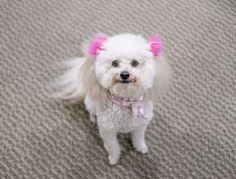 Tola, all sweetness and light, makes everyone feel special