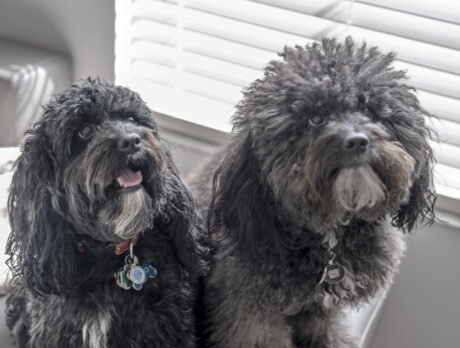 Bonz says Enzo and Luigi epitomize brotherly love