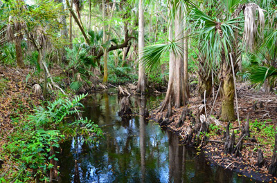 South Prong Preserve Open House