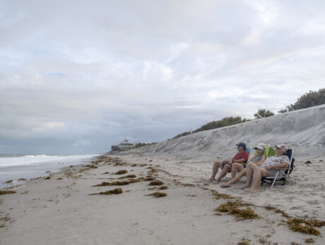 Dune replenishment imminent for north island beaches