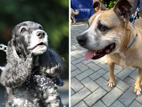 Everybody loves Sea Oaks Parade … especially Bonz!