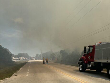 Deputies investigating possible arson after brush fire fully contained