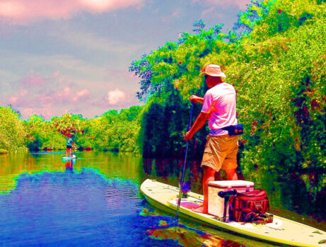 Friends of St. Sebastian River Paddle Fest