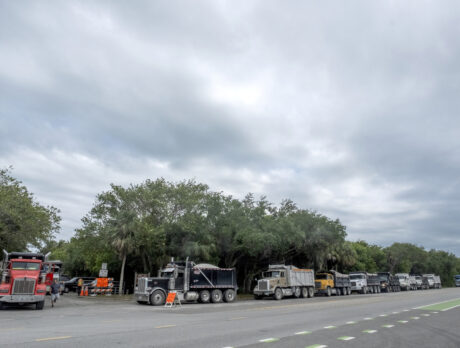 Mindful of turtles, dune replenishment plows ahead