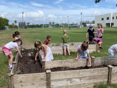 Summer program roundup
