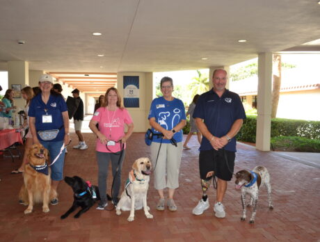 Demand for therapy dogs grows at hospitals, nursing homes, schools