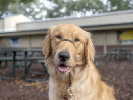 Happy, handsome Herschel’s not too cool for school