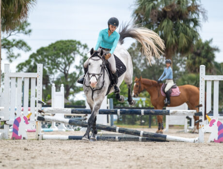 Young Vero equestrians riding high in jump events