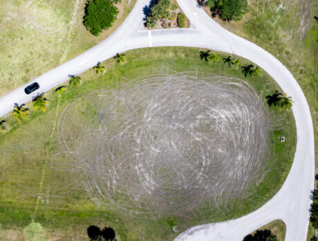 Round Island park vandalism puts security in spotlight