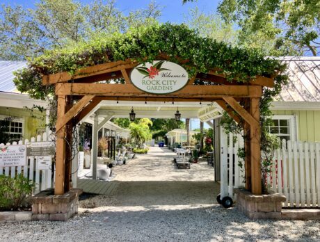 Previous owners of Rock City Gardens sue new owners for $1.35M breach of contract