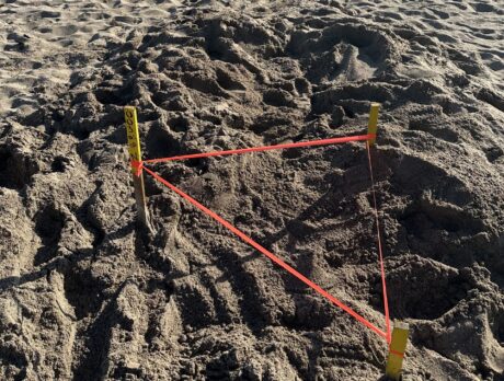 County gives safety tips as sea turtle nesting season is underway
