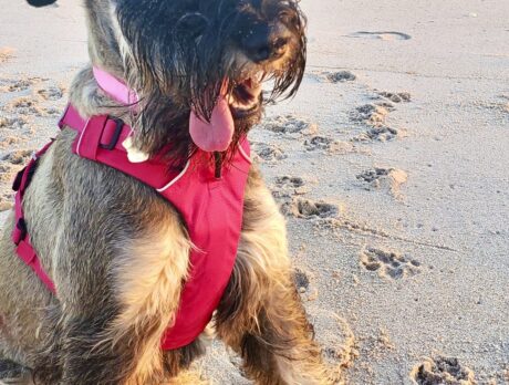 Bonz goes cuckoo for Cocoa, and her cool ‘Beans’ tale
