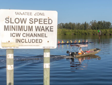 Boat speed limits may be changed in some Manatee Zones