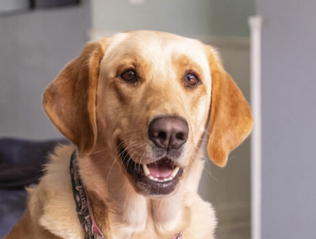 Adventurous Trixie Loo’s almost too cute to be true