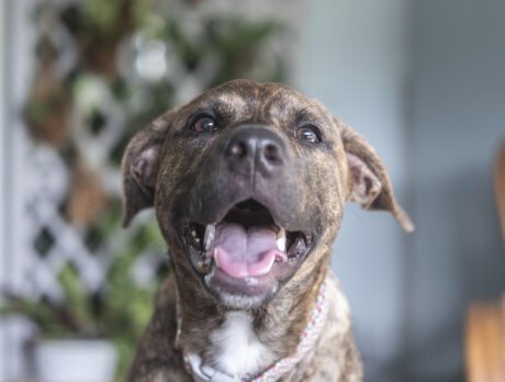 Lovely Lola’s making the most of her second chance